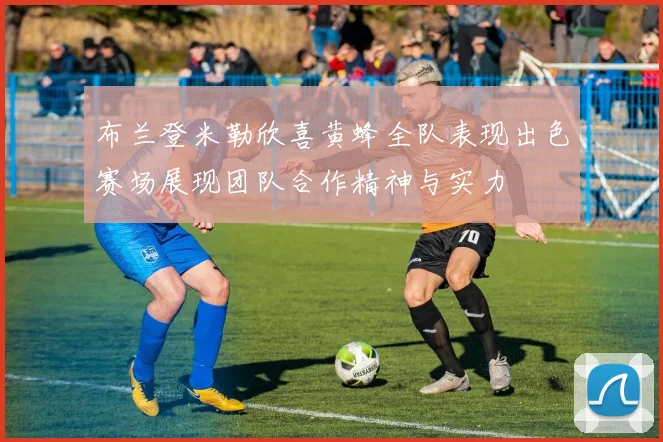 布兰登米勒欣喜黄蜂全队表现出色赛场展现团队合作精神与实力