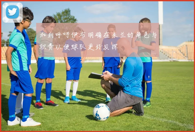加利呼吁伊布明确在米兰的角色与职责以便球队更好发挥